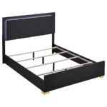 Black and gold Eastern king bed with LED headboard – Marceline Collection