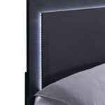 Marceline black and gold queen bed with LED headboard – modern bedroom furniture in Tampa