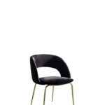 Aston Dining Chair