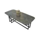 dona rectangular coffee table, modern mirror, living room coffee table, gray coffee table, black leg coffee table, smoky grey coffee table, grey coffee table, living room, grey coffee table, tampa coffee table, fume coffee table, coffee table with black legs